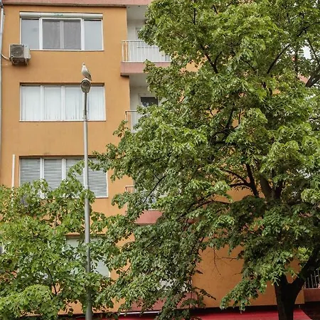 Downtown - Comfy 2-bdr. Apt In Top Centre 公寓 布尔加斯
